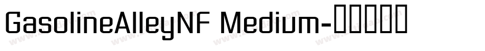 GasolineAlleyNF Medium字体转换